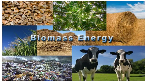 Figure 1.2 : biomass energy   Examples of biomass energy in the world 