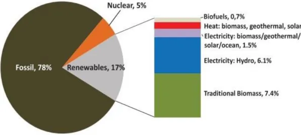 Figure 1.7 Renewable share of primary energy supply in 2009  