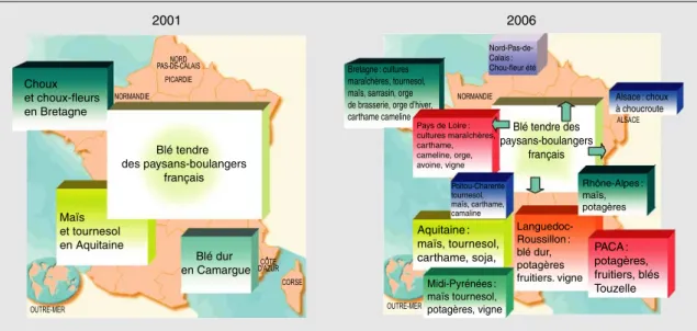Figure 1 . Espèces concernées par la sélection participative en France et évolution de leur répartition dans les régions françaises entre 2001 et 2006.