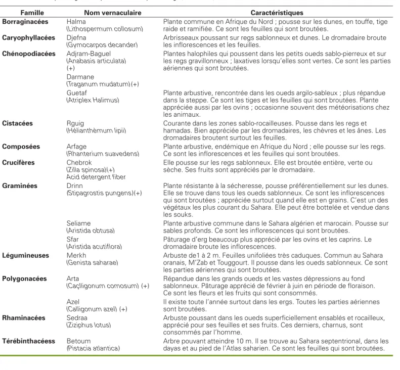 Tableau 2 . Plantes pérennes pâturées par Camelus dromedarius recensées dans les régions de Ouargla, Ghardaïa et El Goléa.