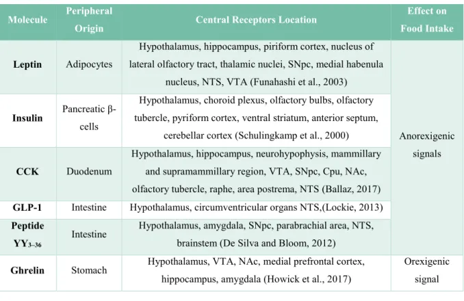 Figure 3 Peripheral signalling of energy status.  