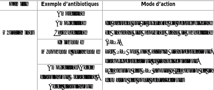 Tableau 2: Action des antibiotiques sur la synthèse de la paroi bactérienne (Nauciel et Vildé, 2005).