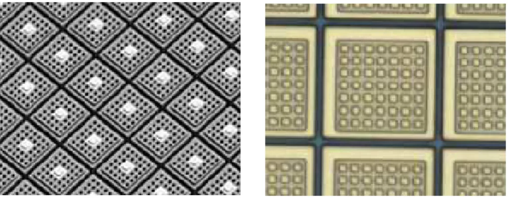 FIG. 1-7 Image de matrice de pixels QWIP avec le réseau de couplage gravé à la  surface