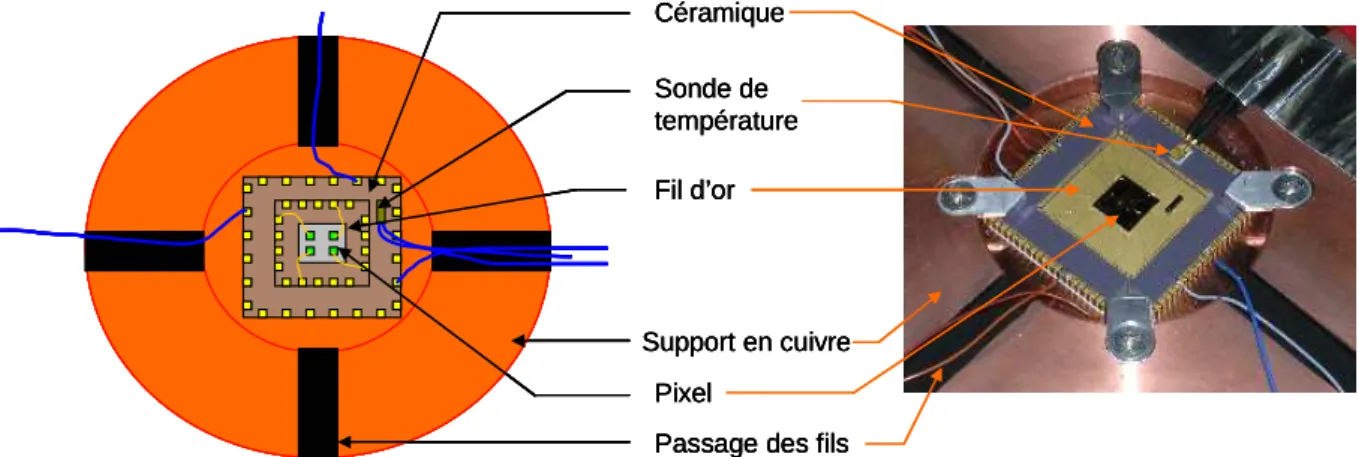 FIG. 2-1 Photographie et schéma d’une puce et de son interface 