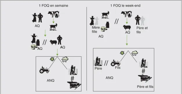 Figure 2 . Deux formes d’organisation quotidienne du travail (FOQ) dans une exploitation d’élevage de Maurienne (Alpes du Nord) pendant la période de printemps (Madelrieux, 2004).