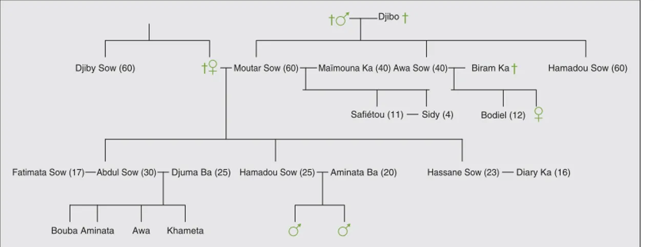 Figure 1 . Schéma simplifié de l’arbre généalogique de la concession de Moutar Sow.
