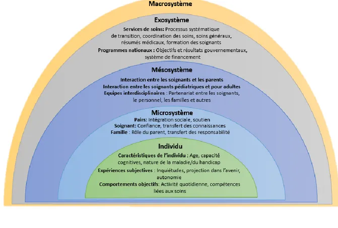 Figure 2 : Modèle écologique de la transition des soins 