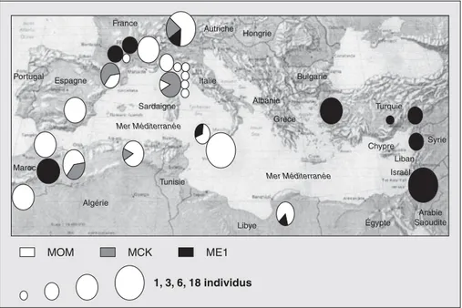 Figure 2 . Distribution des polymorphismes de l’ADN mitochondrial (mitotypes) de l’oléastre autour du Bassin méditerranéen (Breton et al., 2006a).