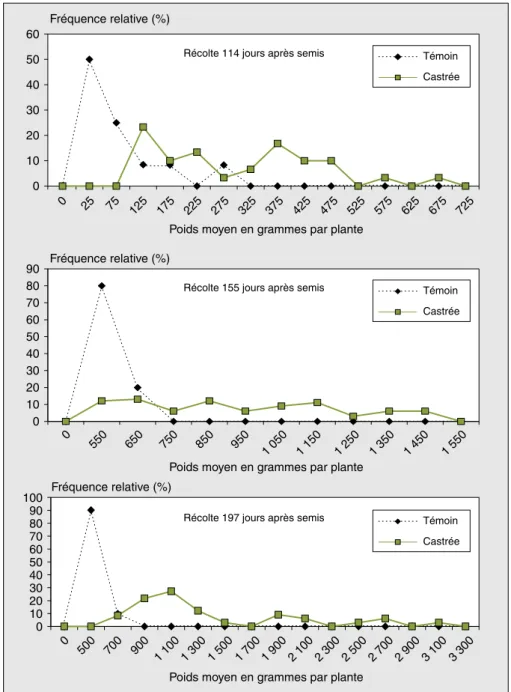 Figure 1. Polygones de fréquences du poids de tubercule par plante pour trois récoltes de l’accession EC040/385.