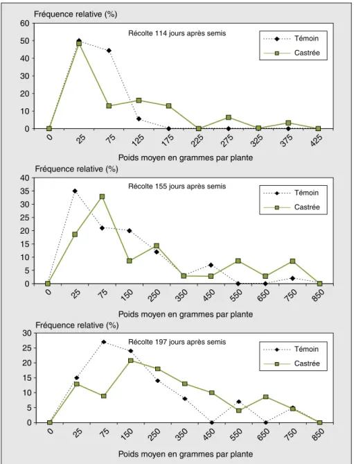 Figure 4. Polygones de fréquences du poids de tubercule par plante pour trois récoltes de l’accession EC042/49.