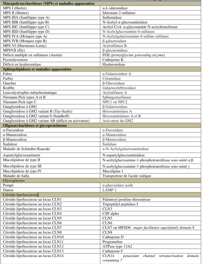 Tableau  1 :  Classement  des  maladies  lysosomales  en  fonction  de  la  nature  du  composé  accumulé