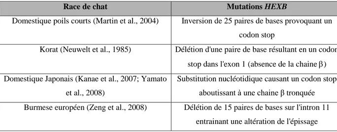 Tableau  3 :  Description  des  mutations  présentes  dans  différents  modèles  de  chats  atteints de gangliosidose à GM2 (Lawson and Martin, 2016)