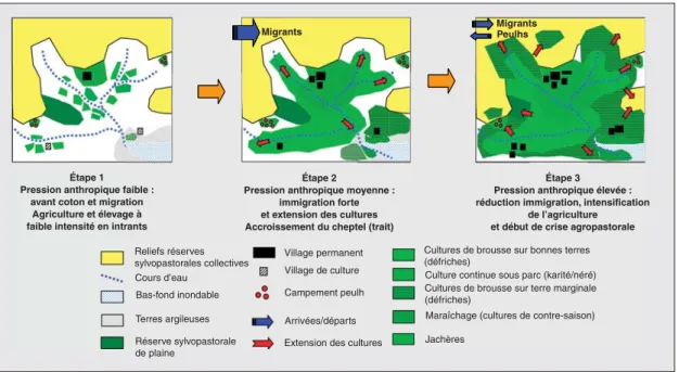 Figure 1 . Évolution de la situation agropastorale du village de Kourouma : approche spatiale.