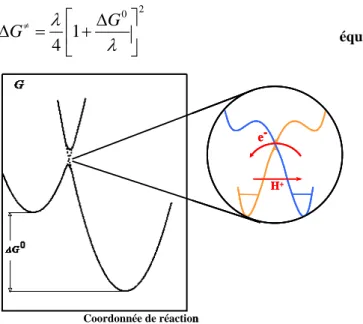 Figure I-16 : Courbes d’énergie pour un transfert concerté d’électron et de proton. 