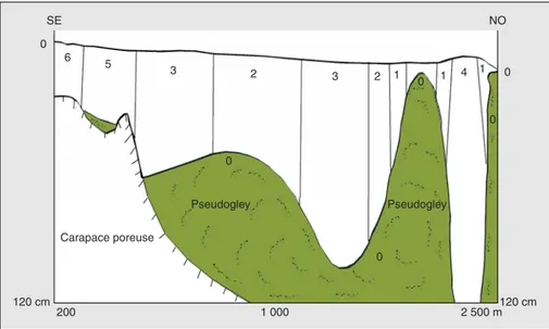 Figure 3. Coupe pédologique du transect 1 de la région de Bondoukuy. Figure 3. Pedological section of transect 1 of the Bondoukuy region.