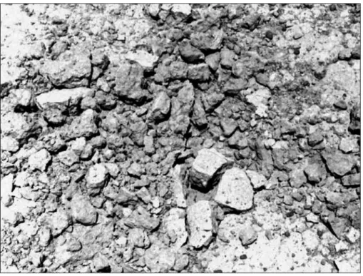 Figure 1. Soil roughness of the mechanical zaï on zipellé at Pougyango (Yako) Burkina Faso (existence of
