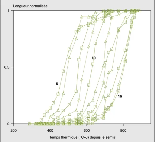 Figure 6. Évolution des longueurs normalisées des entre-nœuds (6 e au 16 e ).