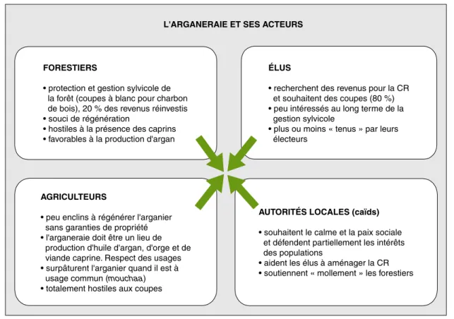 Figure 4 . L’arganeraie et ses acteurs.