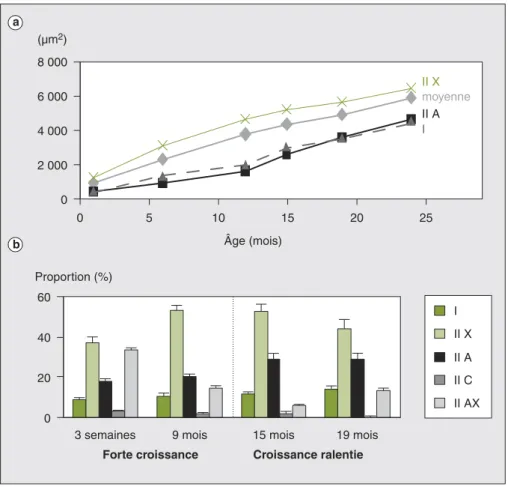 Figure 2 . Évolution de la surface et des proportions des différents types de fibres musculaires au cours de la vie postnatale chez le taurillon Limousin