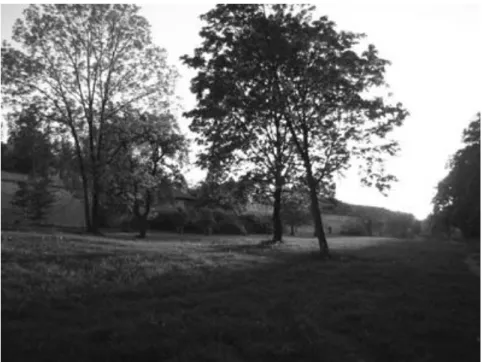 Fig. 7    The park (2005) 