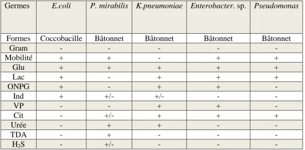 Tableau VI: Caractères morphologiques et biochimiques des différents germes à Gram  négatif