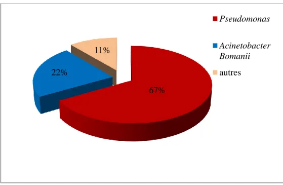 Figure 18: Répartition des bacilles à Gram négatif non fermentaires.63%19%5%7%6% Escherichia coliKlebsiellaProteus Enterebacter spp.Non identifies67%22%11%PseudomonasAcinetobacterBomaniiautres