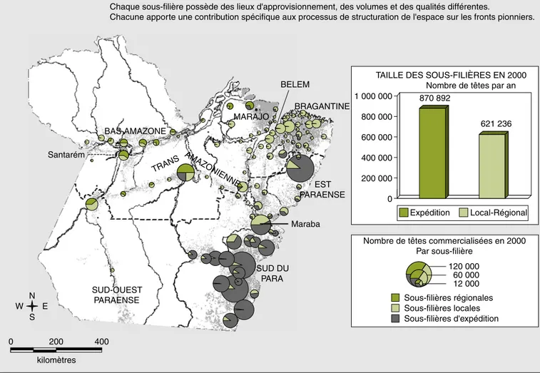 Figure 1 . Filières bovines en Amazonie orientale : l’emprise spatiale de chaque sous-filière.