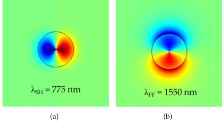 Figure 2.8: Transverse profile of the radial component of the electromagnetic field