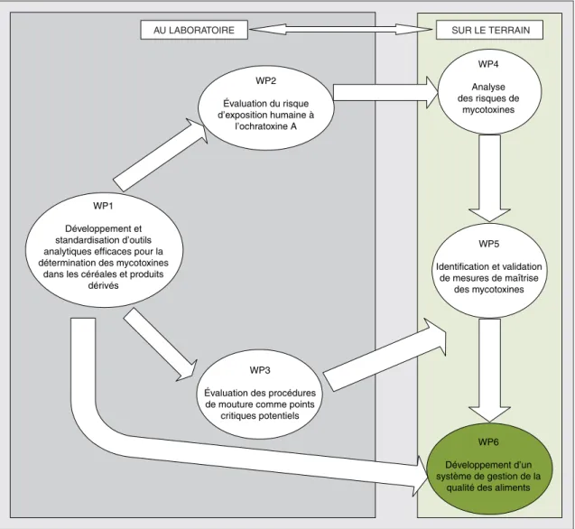 Figure 1 . Les six workpackages (WP, plans d’actions) du projet INCO-DEV Mycotox (source : projet INCO-DEV Mycotox)