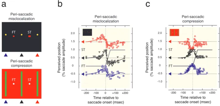 Figure  4.  Peri-saccadic  mislocalization  and  compression.  (a)  Stimulus  configurations