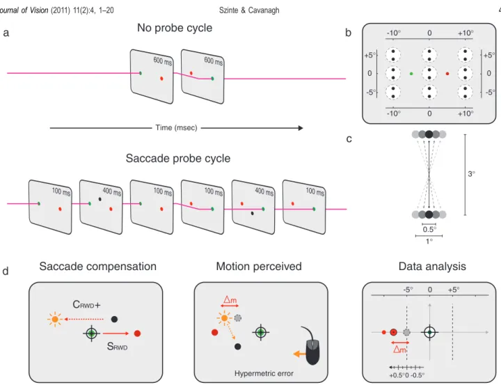 Figure 2. Stimuli sequences, probe locations, and data analysis. (a) Spatial layout of the stimuli for a rightward saccade trial