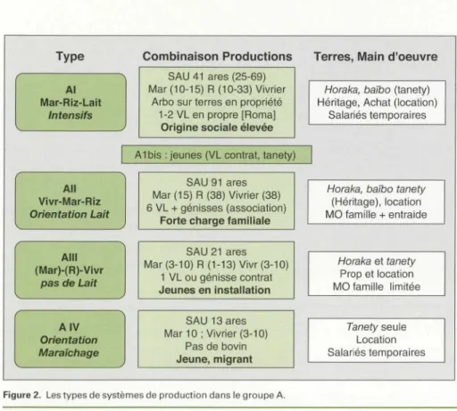Fig u r e 2 .  L es  types de  systèmes de  production dans le  groupe  A. 