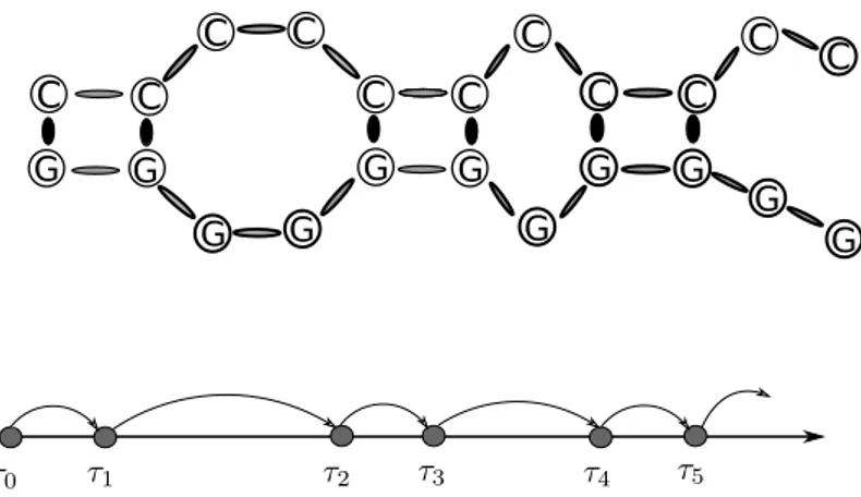 Figure 1.5. Une chaîne d’ADN homogène (dans laquelle toutes les liaisons sont iden- iden-tiques de type C-G) est liée à un processus de renouvellement unidimensionnel