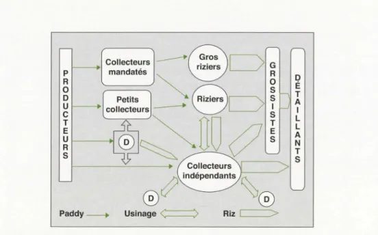 Fig ure 3 .  Structure de la fi l ière r i z  à  Madagascar (source  :  [71)  (D  =  décortiquer i e)