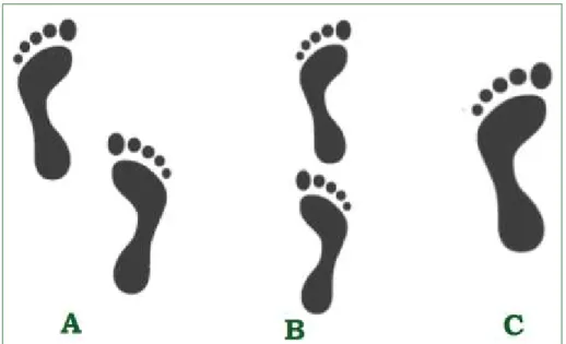 Figure 10: base of support during static balance tests. 