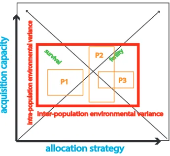 Figure 1.4: Inter-population genotypic map : we depict the position of several populations, P1, P2 and P3, on the acquisition × allocation genotypic map