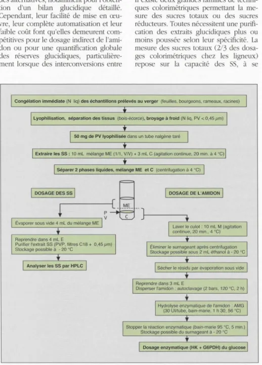Fig u re  6.  Proposition  d'une  procédure  d 'ex traction ,  de  purification  et  de  dosage  des  glucides  non  structurau x  chez  l es  li gneux, d'après les travaux  sur  pêcher de Gomez,  et  al
