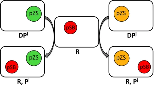 Figure 1.11: Exemple set-up to follow two plasmids and strains. Recipients