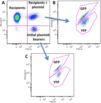 Figure 1.13: An example of the