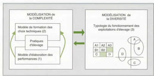 Figure  5.  Principe d'une démarche de modélisation eng l obant diverses  éche ll es  d'observatio n  et d'ana-