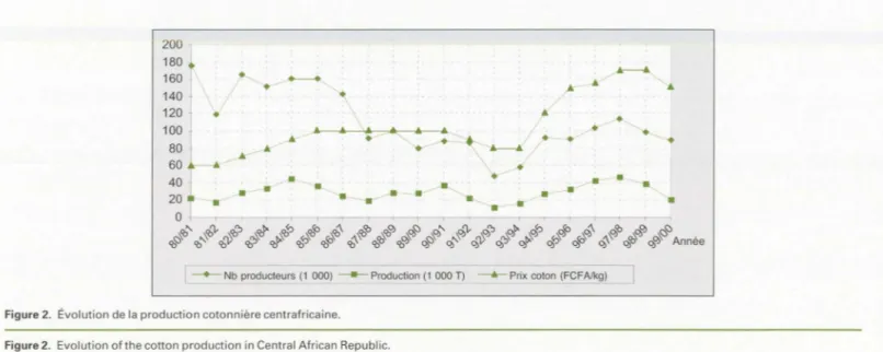 Figure  2.  Evolution  ofthe cotton  production  in Central  African Republic. 
