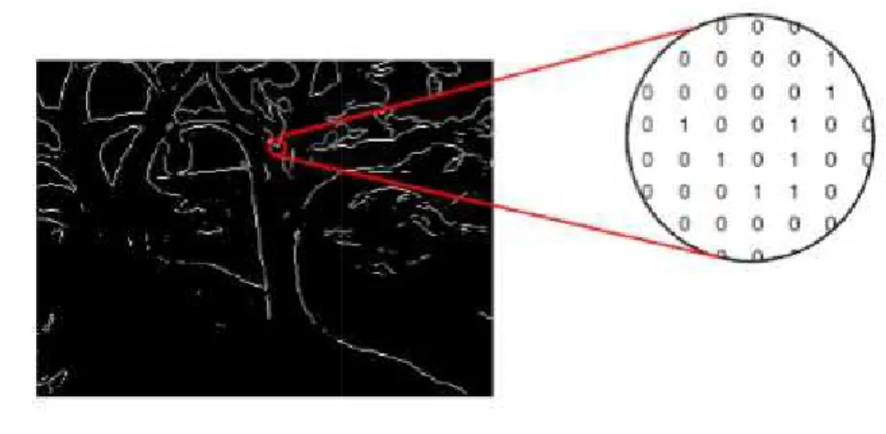Figure  1.3.4 Indexed Color Images 