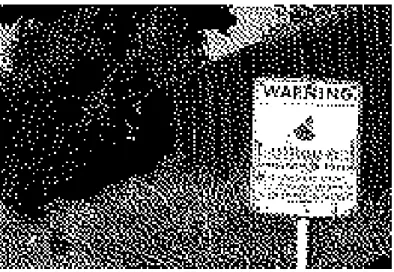 Figure 1.2: image binaire 