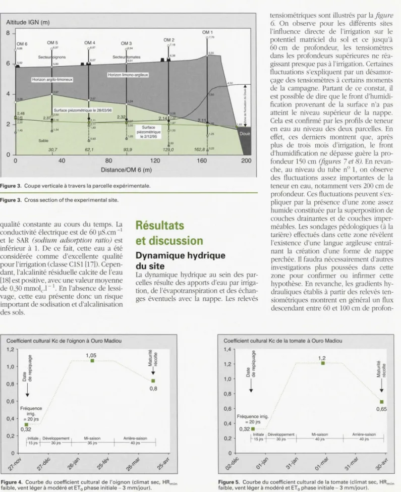 Figure  3 .  C oupe ve rti ca l e  à  tr avers la pa r ce ll e expérimentale. 