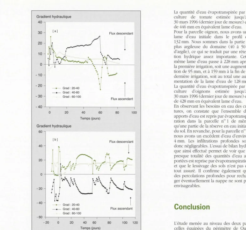 Figure  9.  Évolution des gradients  h ydrau liqu es :  [al dans  l a parce ll e  n °  1  et  [b] dans  l a parcel l e  n °  2 ( l e  O  des  abscisses est  l e  1 • '  jour  d ' ir r ig ation ,  le 6 décembre  1 995 po ur  [b)  et  l e  19  décembre 1995 