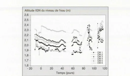 Figure  10.  Évolution  des  pi ézomèt res  (le  zéro  des  a b sc isses  correspond  à  la  première  irrigation  de  la  parcelle n °  2,  le  6  décembre  1995  et  l'irrigation de la  parce l le n °  1  s'est  faite  13  jours  après)