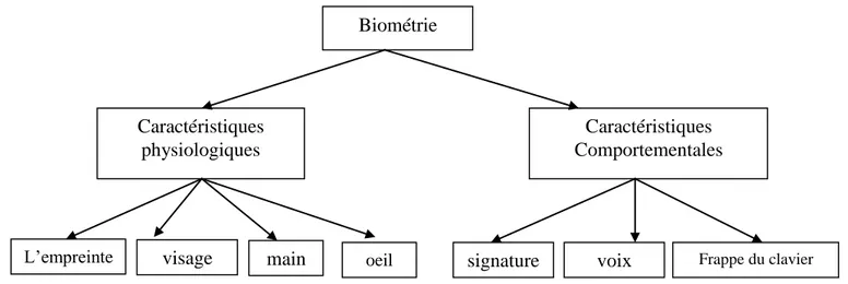 Figure 1. La  classification de la Biométrie. 