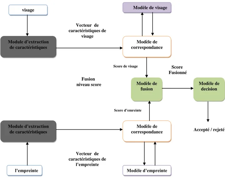 Figure 2.Fusion au niveau score dans un système biométrique multimodal Modèle d’empreinteModèle de correspondanceModèle de visagel’empreintevisageVecteur  de caractéristiques de l’empreinteVecteur  de caractéristiques de visageModèle defusionModèle de correspondanceModule d’extraction de caractéristiquesModule d’extraction de caractéristiques Modèle dedecision Accepté / rejetéScore de visageScore d’emreinteFusion niveau scoreScore Fusionné