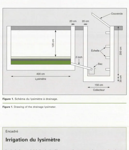 Figure  1 .  S chéma  du  lysimètre  à  drainage . 