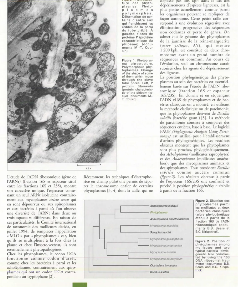 Figure  2 .  Situ atio n  de s 